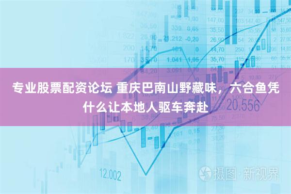 专业股票配资论坛 重庆巴南山野藏味，六合鱼凭什么让本地人驱车奔赴